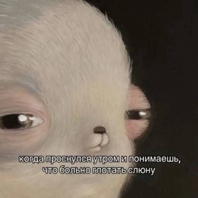 Утренняя подборочка