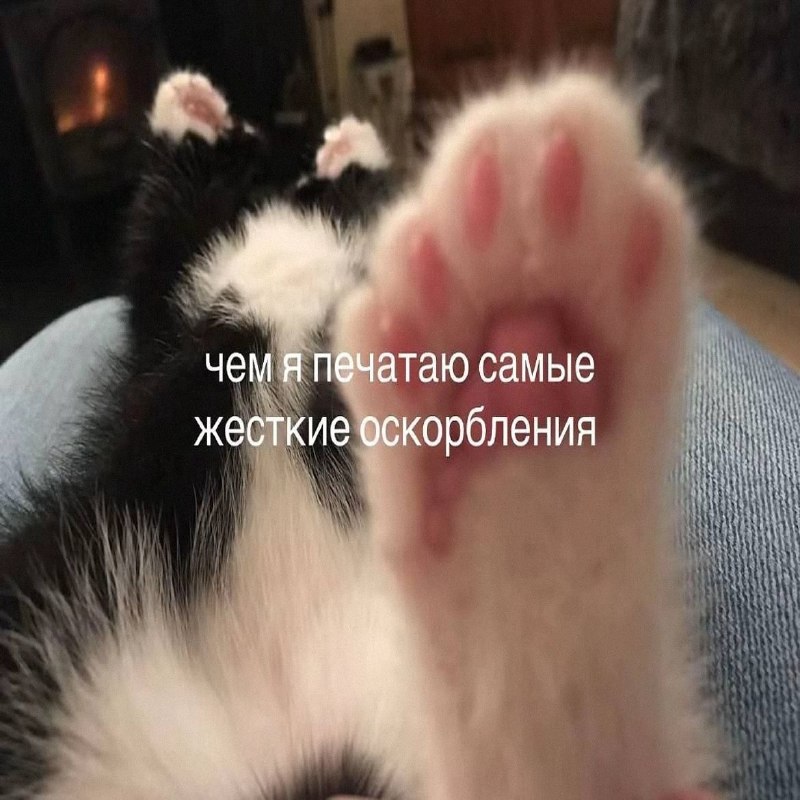 Утренняя подборочка