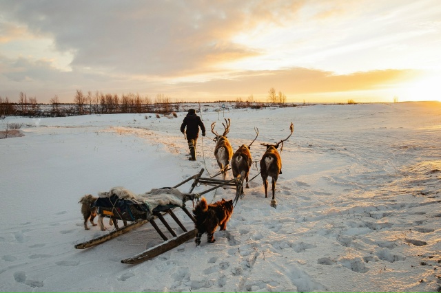 Красное ❤
Фото: Ирина Пудовкина