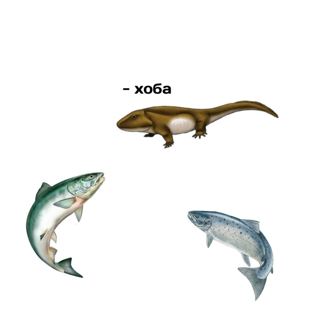 Эволюция, бессердечная ты стерва