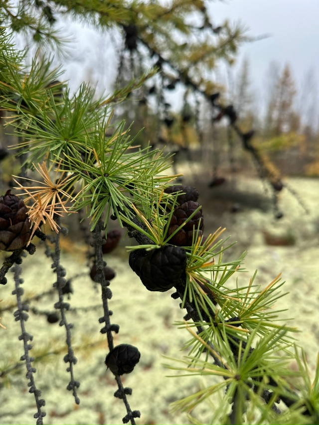 Привет Бузулук! Моя малая родина! Вот такая природа у н?...