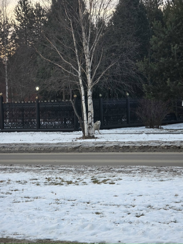 Когда это уже прекратится в городе? Когда будут убраны ...