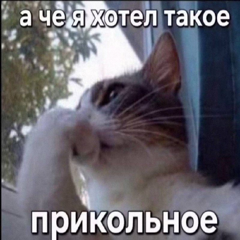 Утренняя подборочка