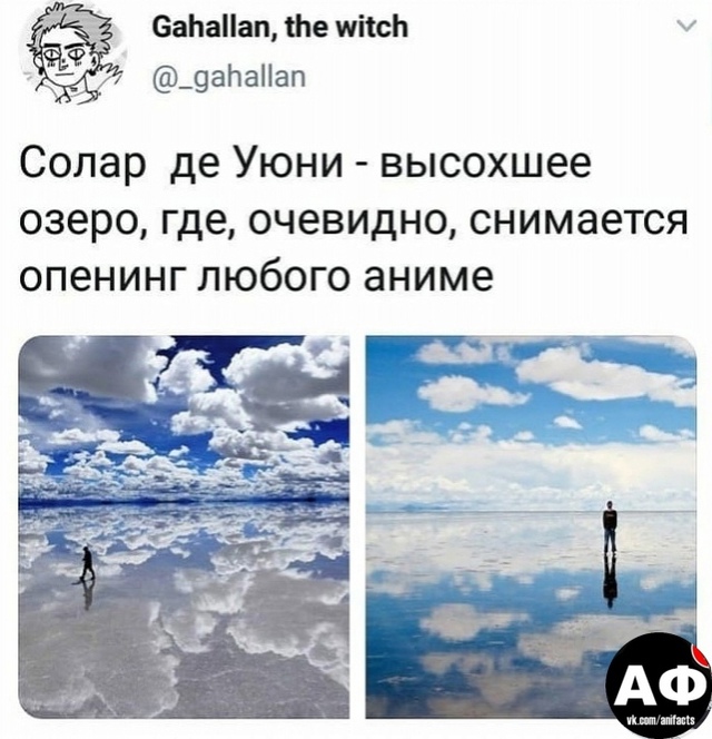 аниме факты