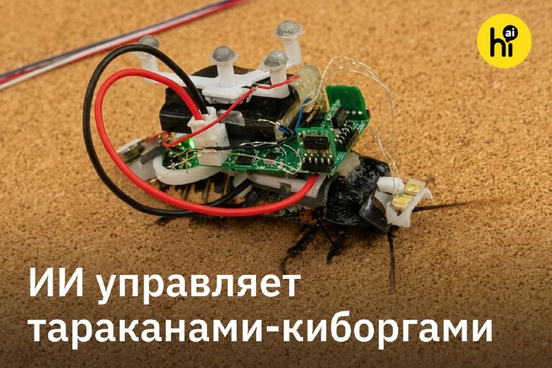 🤖 ИИ управляет тараканами-киборгами, слушая их тело
Исследователи из Университета Осаки создали спе