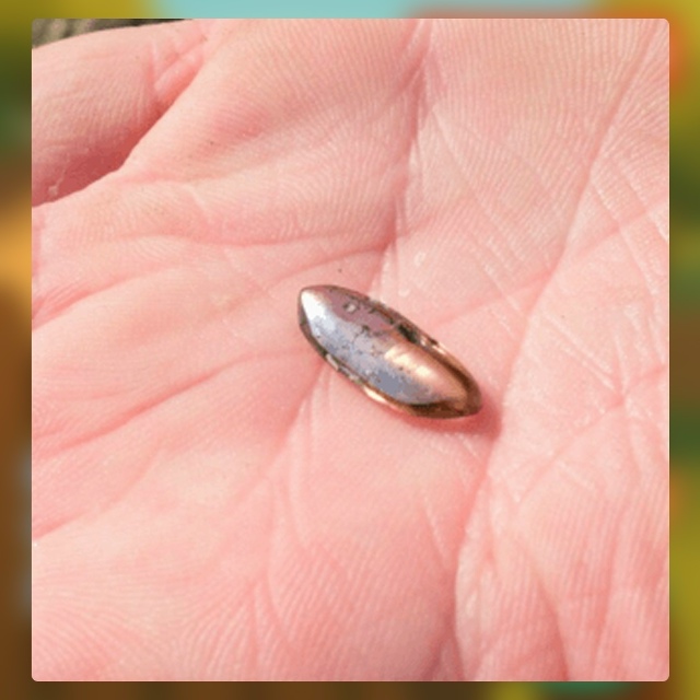 Безумные приколы
Пока одни тратят целые состояния на п...