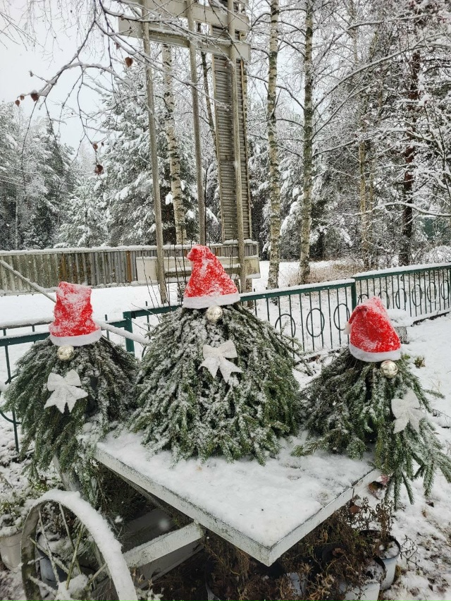 🌲✨ Турбаза 