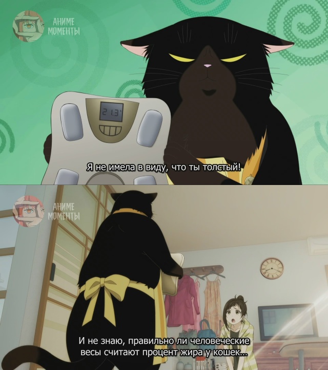 Кот, мастер на все лапки, сегодня снова грустит 🎬 2 сер?...