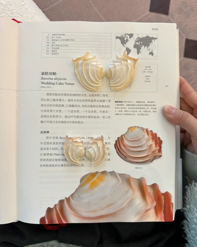 Потрясающая коллекция