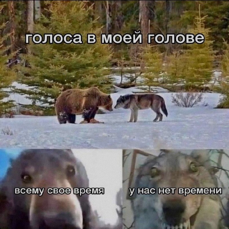 Ночная подборочка
Выходные, не спим