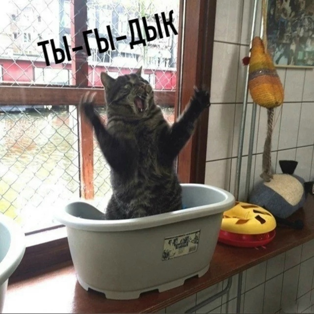 Цoй пo-котeйски (полная версия)