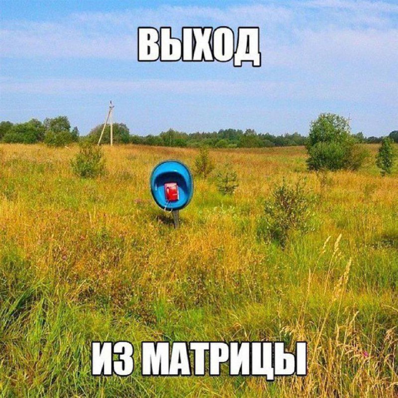 Утренняя подборочка
