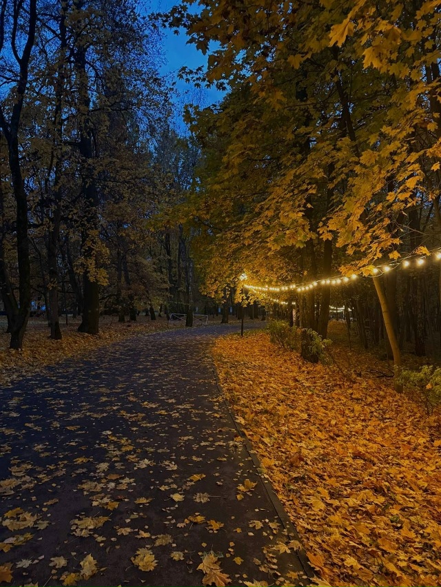 Осенняя сказка 🍁