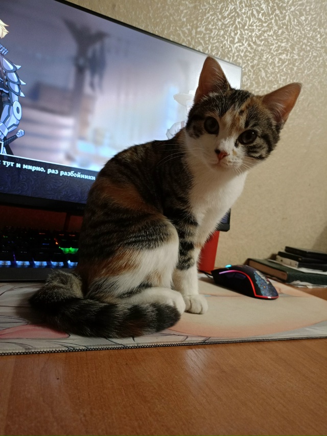 Лея бармалея желает всем кусиков кукусиков и спокойны?...