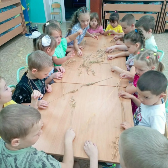 Совята на пути к профессии 