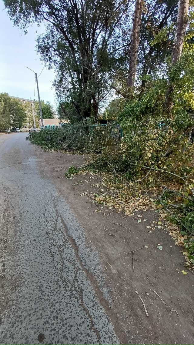 Доброе утро, возле зубной поликлиники в микрорайоне и ?...