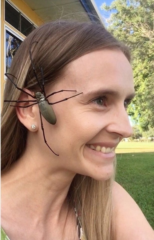 Женщина сажает огромных пауков себе на лицо, чтобы усп?...