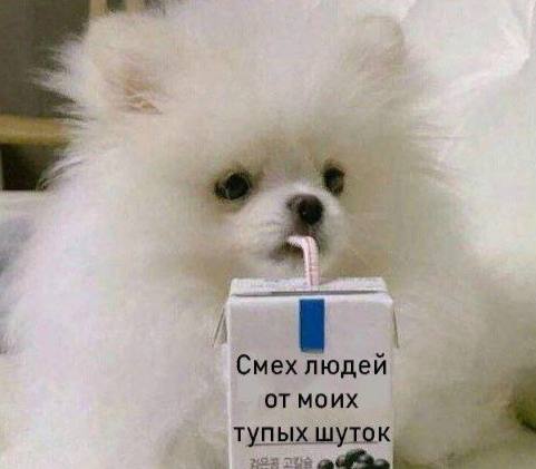 моя любимая пища