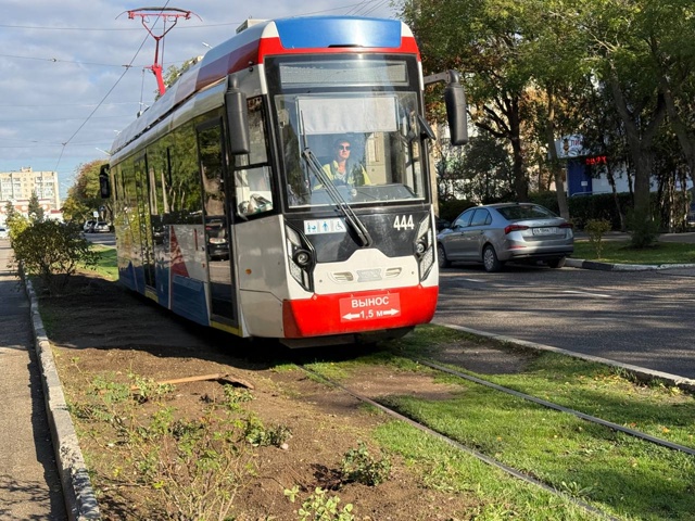 🌹Улица Фрунзе продолжает преображаться.
Озеленители...