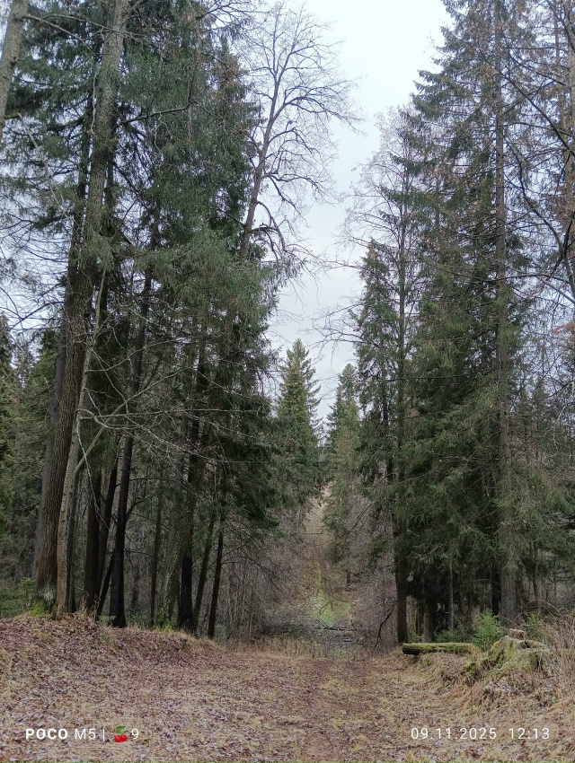 Прибрался у истока Егошихи и на экотропе 