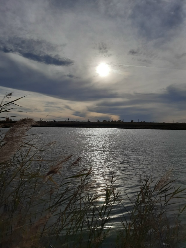 Осеннее красивое вечернее небо--это одно из самых кра?...