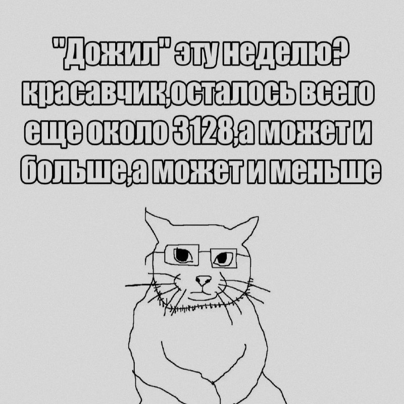 Ночная подборочка
Выходные, не спим
