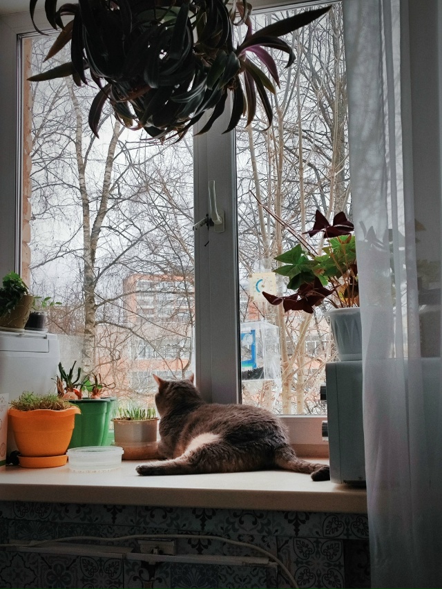 Дед Кузьма ждёт весну🌱