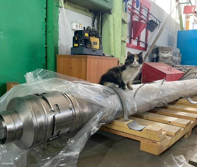 Валька Степановна из отдела технического контроля сег...