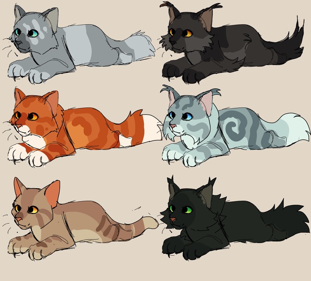 Команде Warrior Cats стоило бы выпускать наборы мерча вмест?...