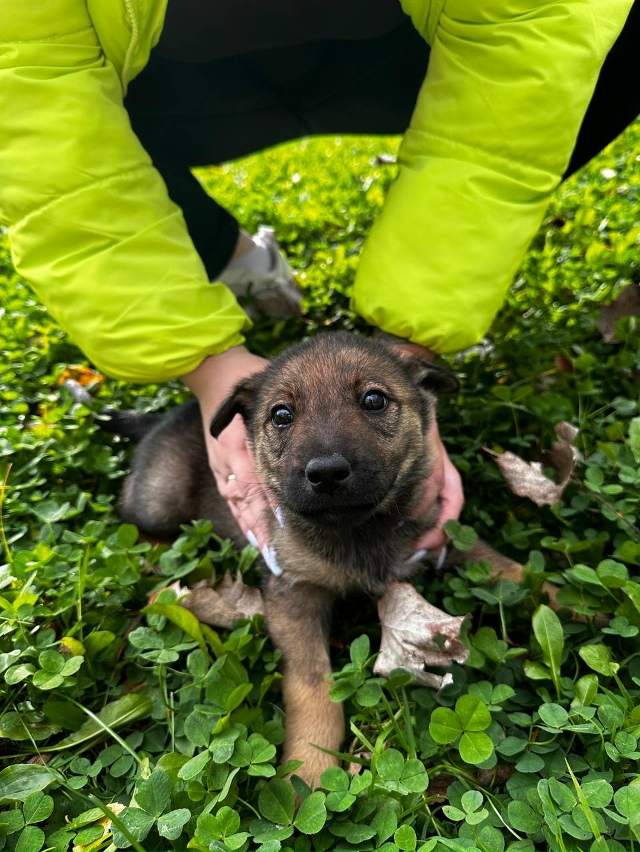 Здравствуйте уважаемые жители города Остров.
Мальчик....