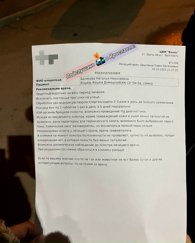 Здравствуйте! Прошу опубликовать пост с целью найти лю...