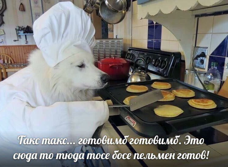 Утренняя подборочка