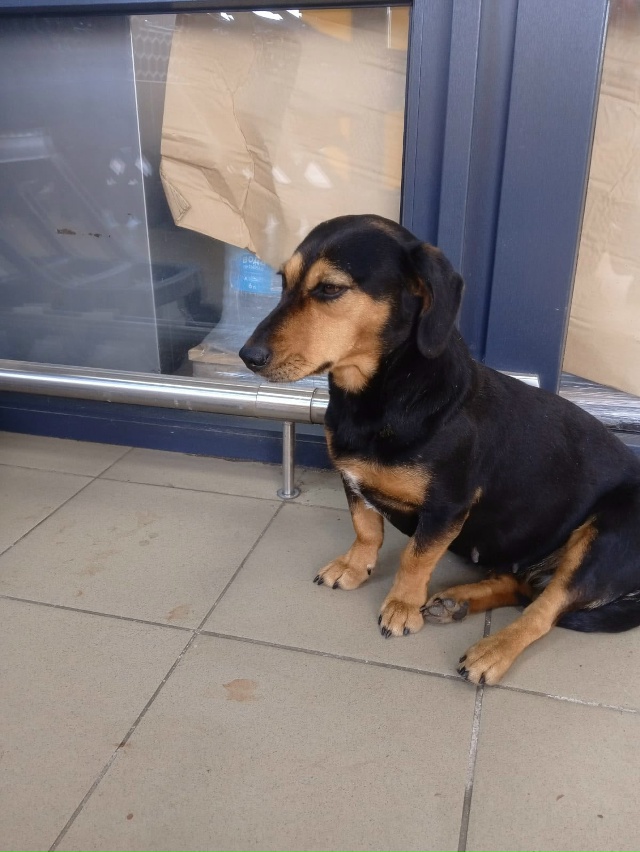 Пропустите, пожалуйста
🆘️🆘️🆘️🆘️🆘️🆘️🆘️🆘️?...