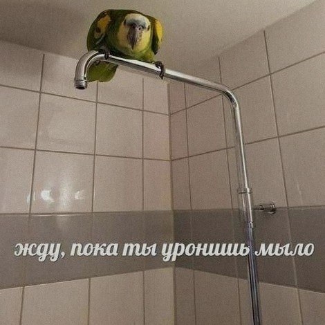 Ночная подборочка
Выходные, не спим