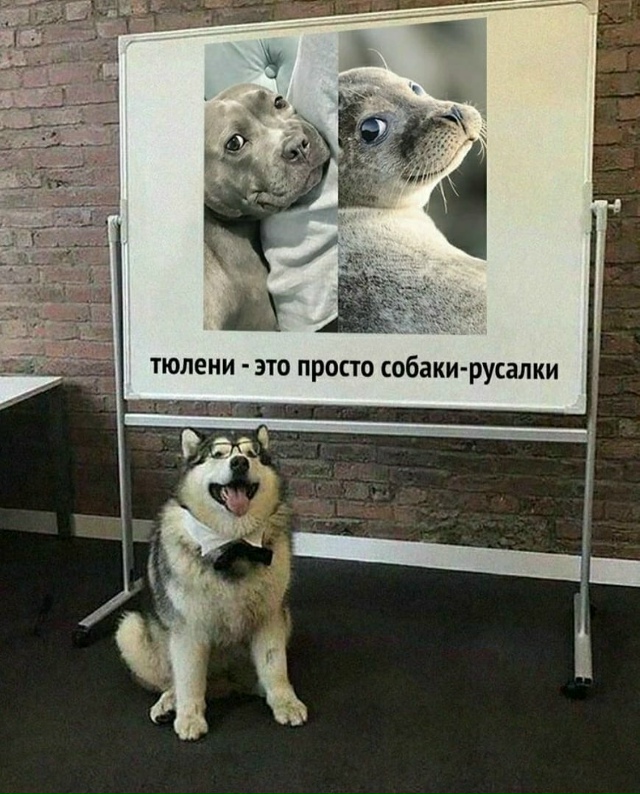 Похoжи?
