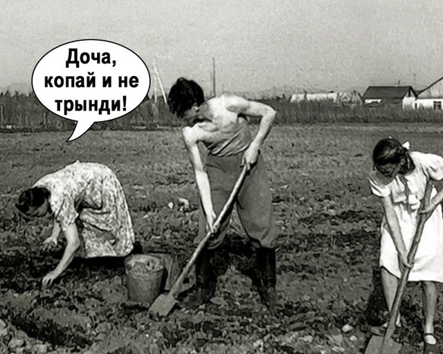 Ишь чего захотела, копай молча😅