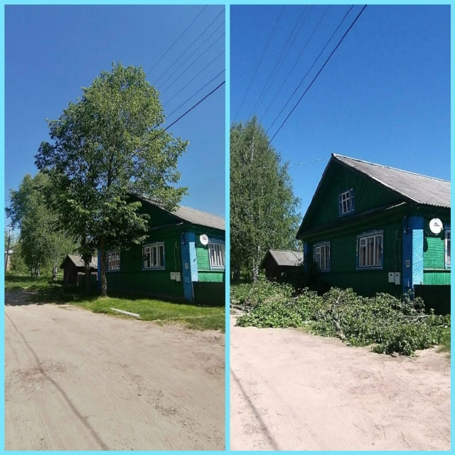 СПИЛИМ ЛЮБОЕ ДЕРЕВО (рядом с домами, проволами, заборам...