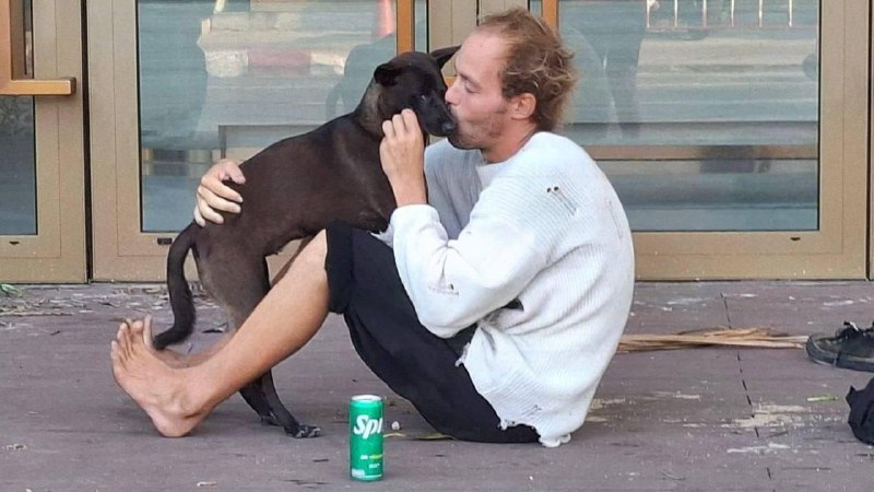 Питерский айтишник, скрываясь от долгов, уехал в Таиланд, сменил имя и теперь там дерется с бомжами.