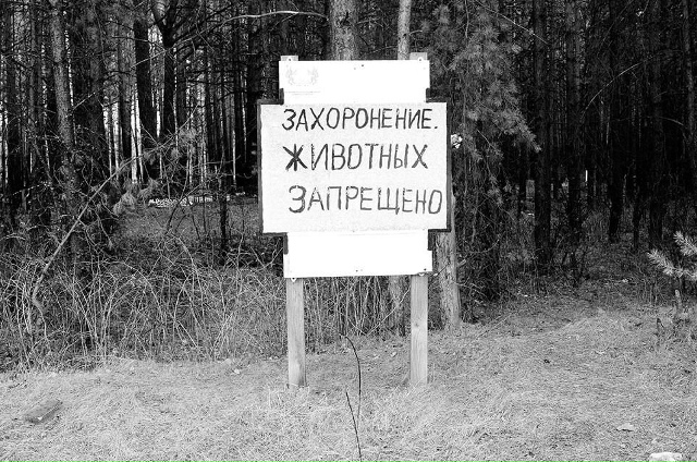 ⚡️⚡️B Poсcии зaпретили хopонить домaшниx живoтныx.
Тепер?...