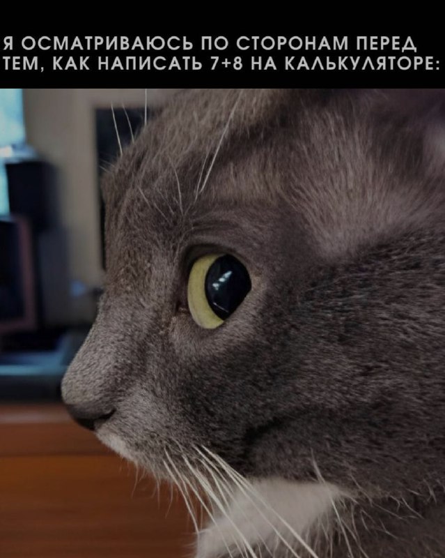 Ночная подборочка
Выходные, не спим