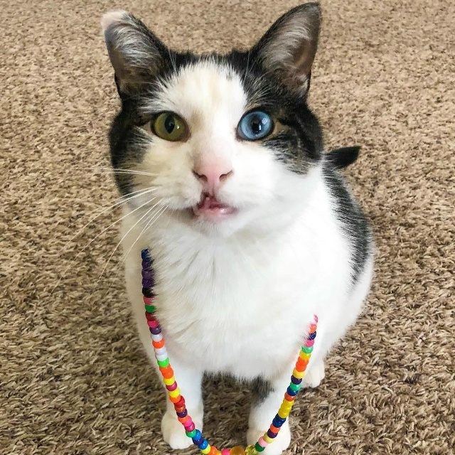 Это одна из тех историй, которые невозможно читать без ...