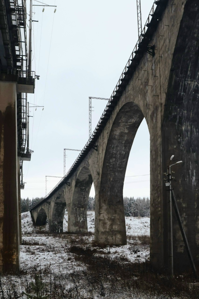 Леса Урала превращаются в сказочные пейзажи — на фото ...