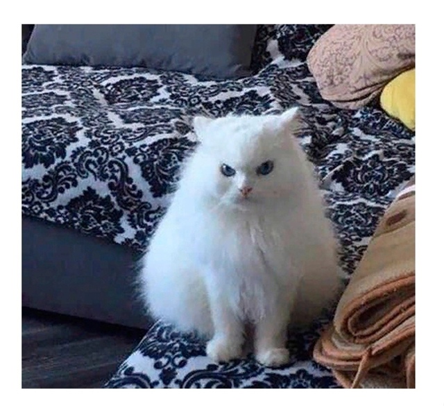 Очень важный совет.