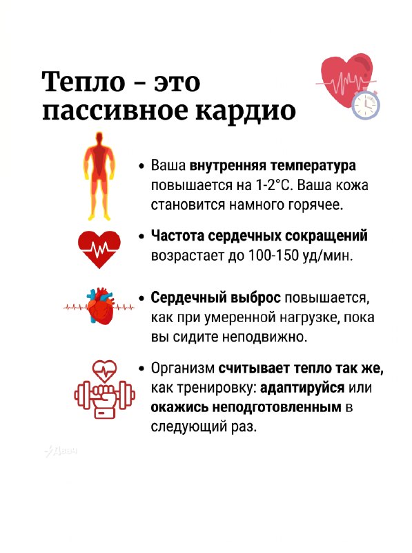 Сауна укрепляет сердце и снижает риск внезапной смерти, показало исследование, которое длилось более