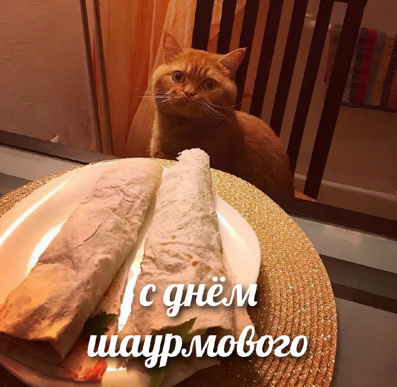 Сегодня отмечается Международный день шаурмы
С обедом определились