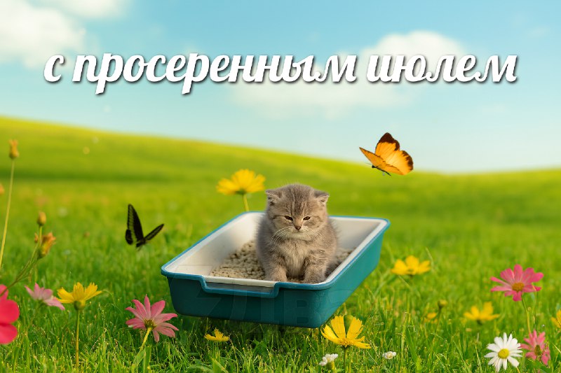 Сегодня отмечается День просеренного июля