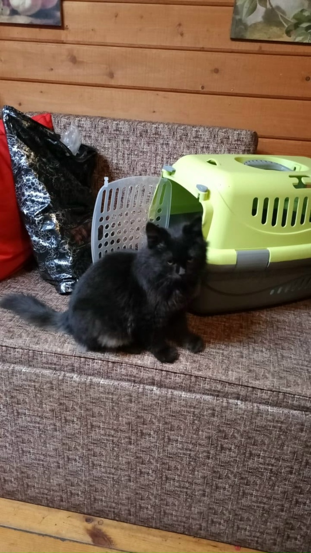 Вчера 9.11 на у. Клементьевская в районе д. 70 выскочил на ?...