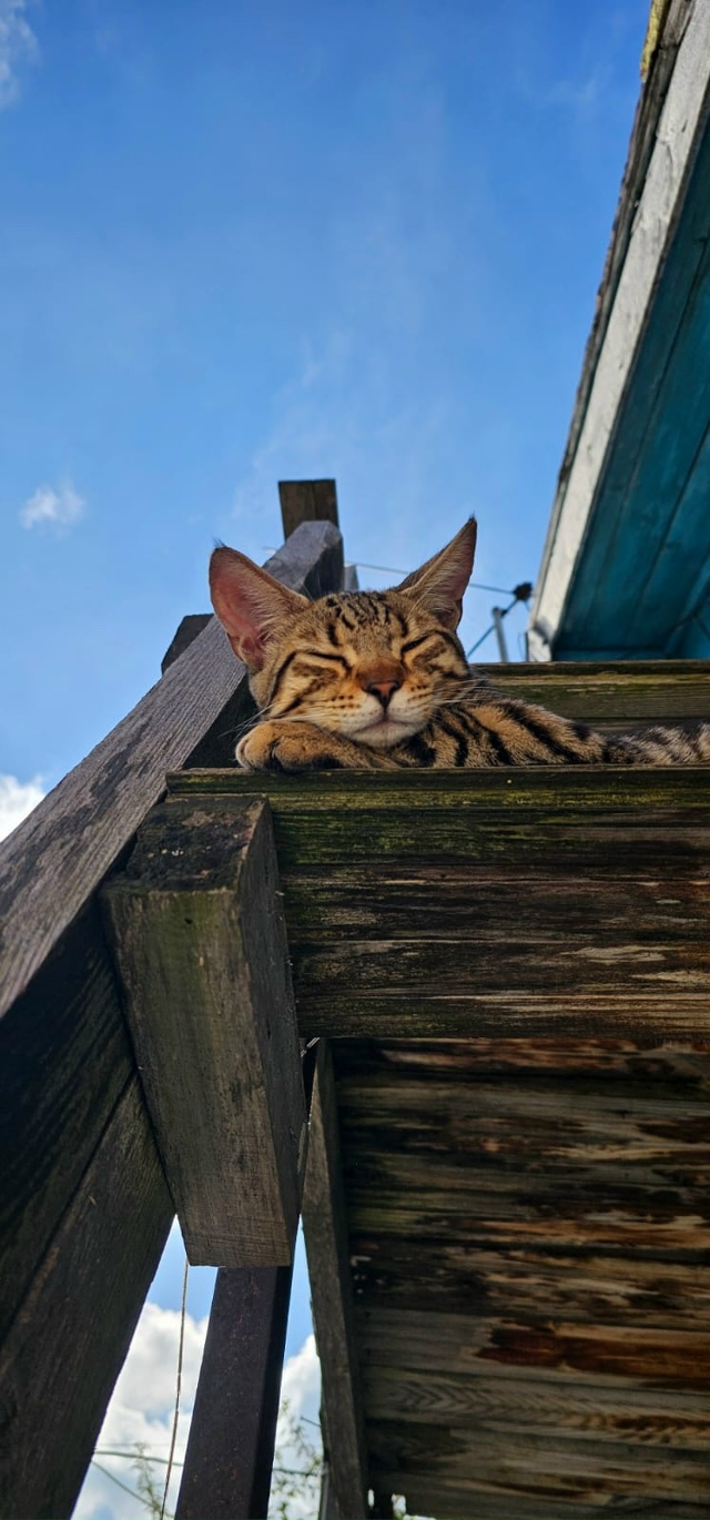 Лапушка Мышель❤️