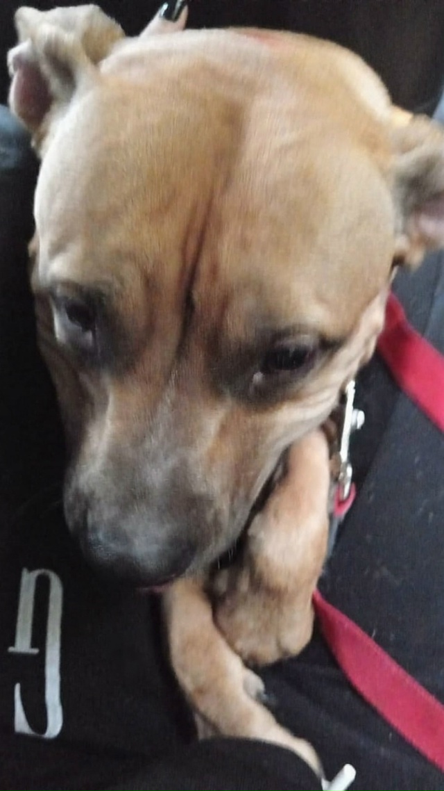 Просьба опубликовать информацию от Натальи (ул. Зелена...