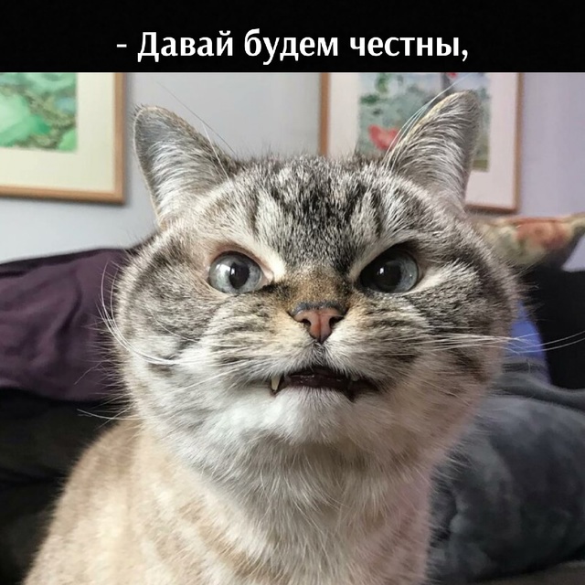 =»»